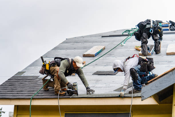 Professional Gutter Installation technician working in Somerville, VA