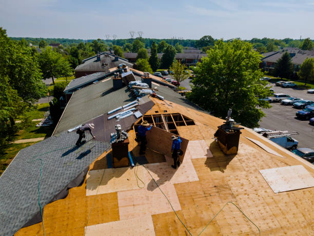 Trusted Flat Roof Repair service in Somerville, VA - Brentwood Metal Roofing